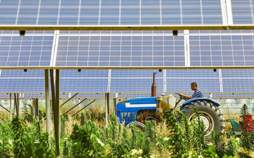 Exploitation agricole accompagnée par HomeGreen Castres